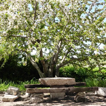 Apartamentostrevejo La Noguera *