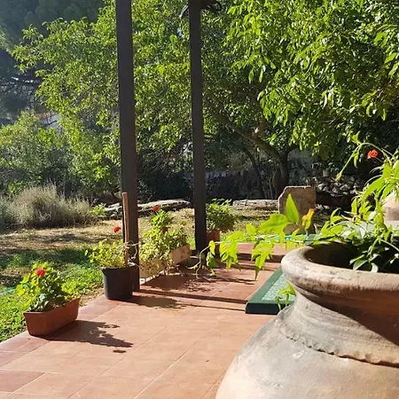 Apartamentostrevejo La Noguera Apartamento *