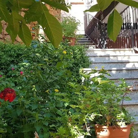 Apartamentostrevejo La Noguera Apartamento *