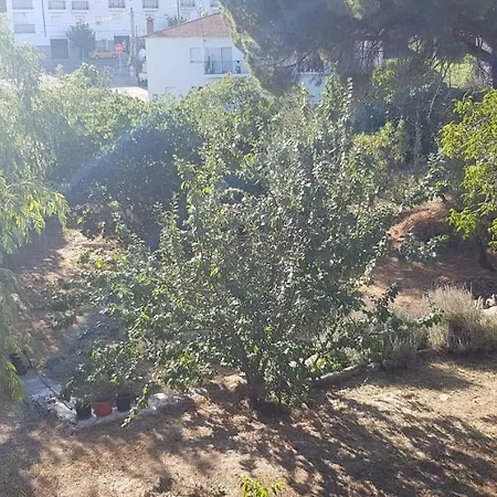 Apartamentostrevejo La Noguera 아파트 *