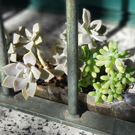 Apartamento Apartamentostrevejo La Noguera *