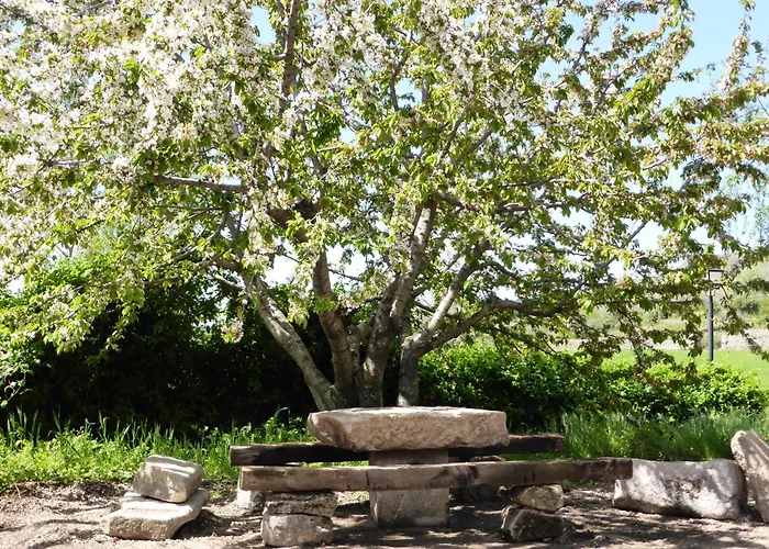 Apartamentostrevejo La Noguera *