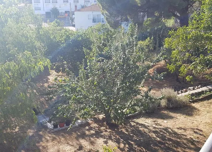 Apartamentostrevejo La Noguera Appartamento *