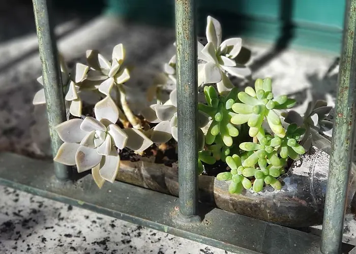 Apartment Apartamentostrevejo La Noguera *